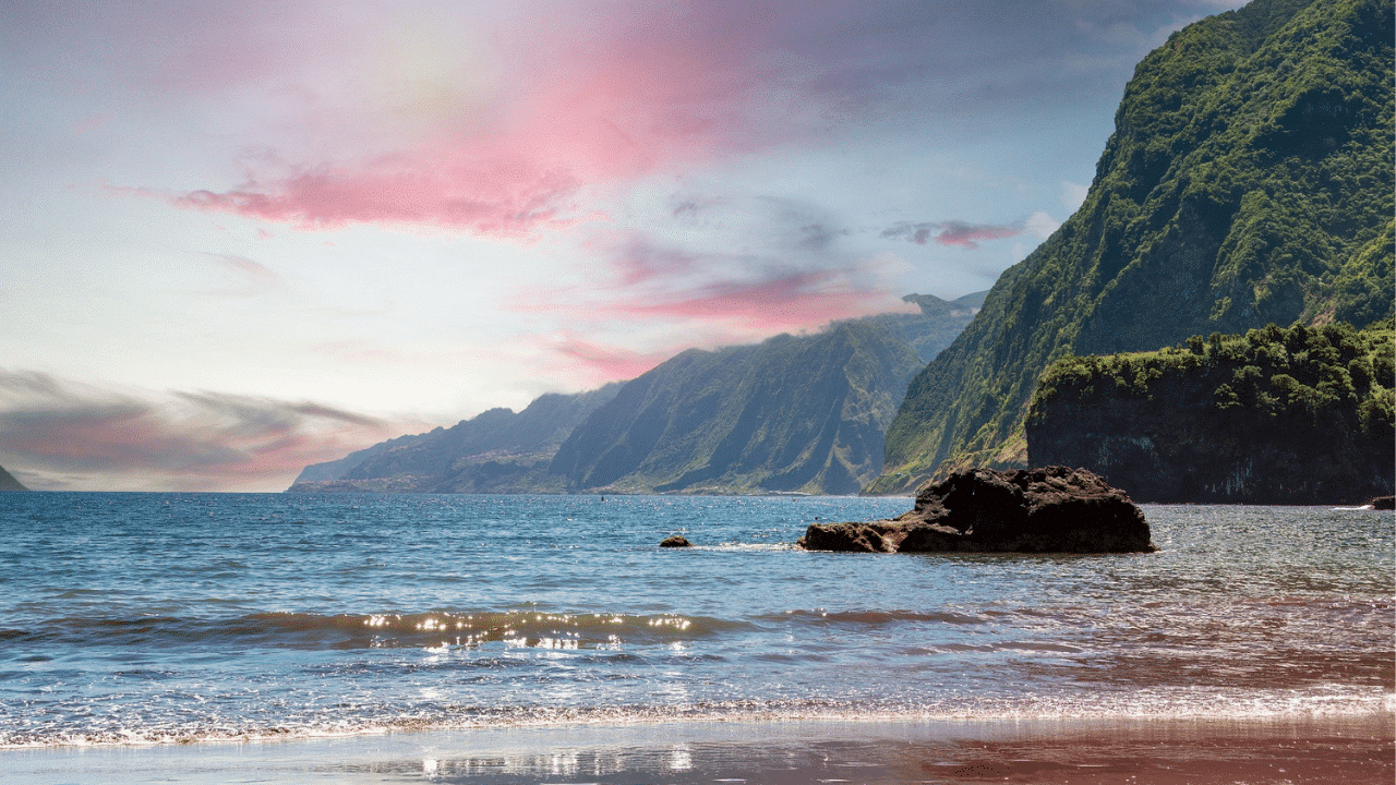 Madeira Apartments to Rent GoldCrest